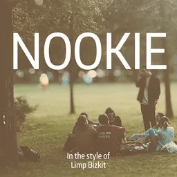 Cover art for Nookie - Limp Bizkit karaoke version