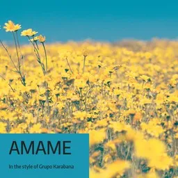 Titelbild für Amame - Grupo Karabana Karaoke-Version