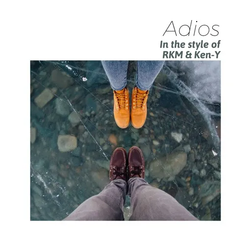 Adios - Karaoke