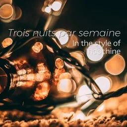 Cover art for Trois nuits par semaine - Indochine karaoke version