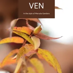 Cover art for Ven - Marcela Gandara karaoke version