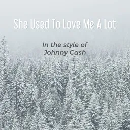 Cover art for She Used To Love Me A Lot - Johnny Cash karaoke version
