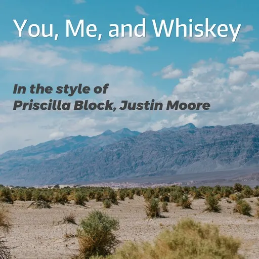 Karaoke You, Me, and Whiskey esittäjältä Justin Moore, Priscilla Block — laula mukana sanoituksilla Singassa