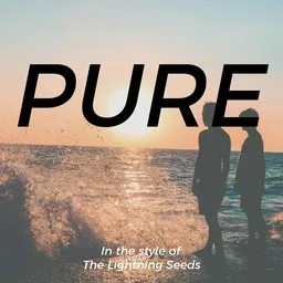 Karaokekappaleen Pure - The Lightning Seeds kansikuva