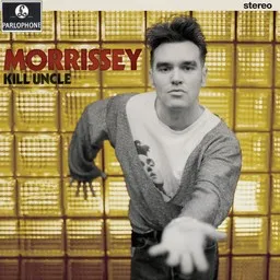 Cover art for Sing Your Life - Morrissey karaoke version