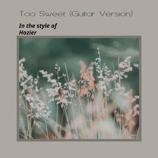 Karaoke Too Sweet (Guitar Version) by Hozier — sing along with lyrics on Singa