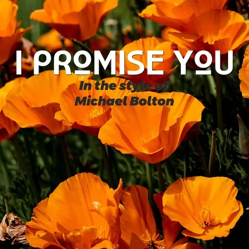Karaoke I Promise You by Michael Bolton — sing along with lyrics on Singa