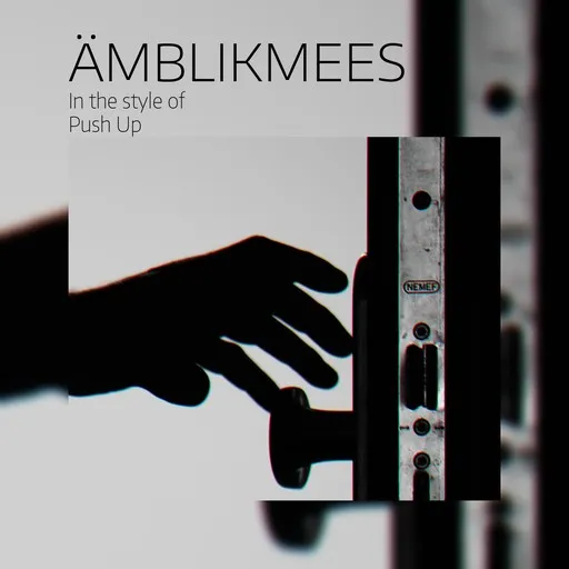 Karaoke Ämblikmees by Push Up — sing along with lyrics on Singa