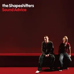 Cover art for The Shapeshifters
