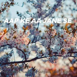 Omslagsbild för Aap Ke Aa Jane Se - Khudgarz,Mohd Aziz,Sadhana Sargam karaokeversion