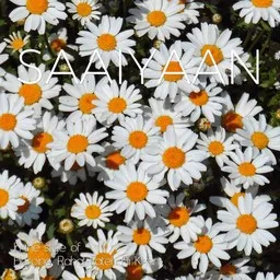 Cover art for Saaiyaan - Heroine,Rahat Fateh Ali Khan karaoke version