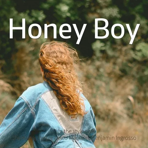 Karaoke Honey Boy av Benjamin Ingrosso, Purple Disco Machine, Shenseea — sjung med på texten på Singa