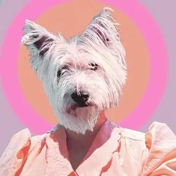 Cover art for Olit huumeissa - Litku Klemetti karaoke version