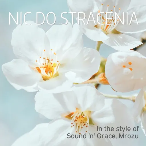 Karaoke Nic Do Stracenia von Mrozu, Sound 'n' Grace — mit Songtext mitsingen auf Singa