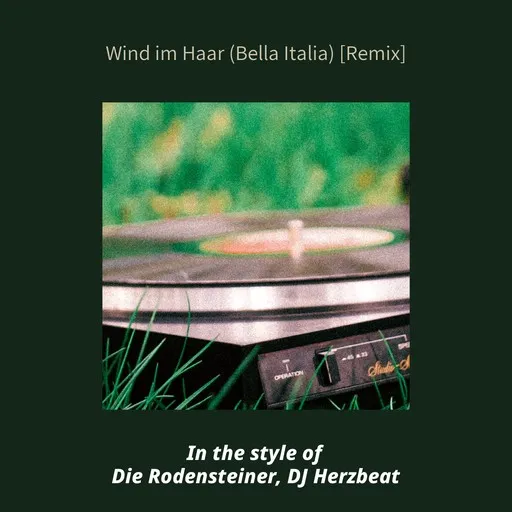 Karaoke Wind im Haar (Bella Italia) [Remix] von Die Rodensteiner, DJ Herzbeat — mit Songtext mitsingen auf Singa