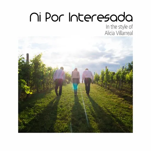Ni Por Interesada - Karaoke