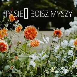 Titelbild für Ty się boisz myszy - Czerwone Gitary Karaoke-Version