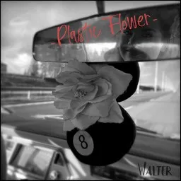 Titelbild für Plastic Flower - Walter Karaoke-Version