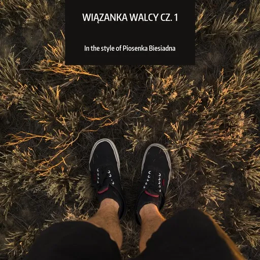 Wiązanka walcy cz. 1 - Karaoke