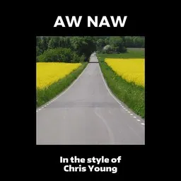 Omslagsbild för Aw Naw - Chris Young karaokeversion