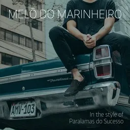 Karaokekappaleen Melô Do Marinheiro - Paralamas do Sucesso kansikuva