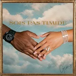Cover art for Sois pas timide - Gims karaoke version