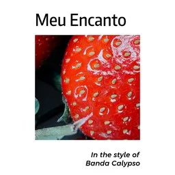 Cover art for Meu Encanto - Banda Calypso karaoke version