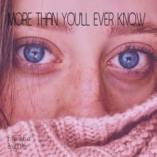 More Than You'll Ever Know - Karaoke