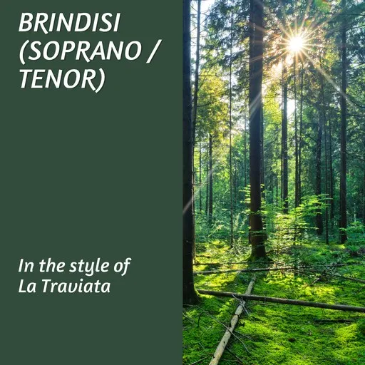 Brindisi (Soprano / Tenor) - Karaoke