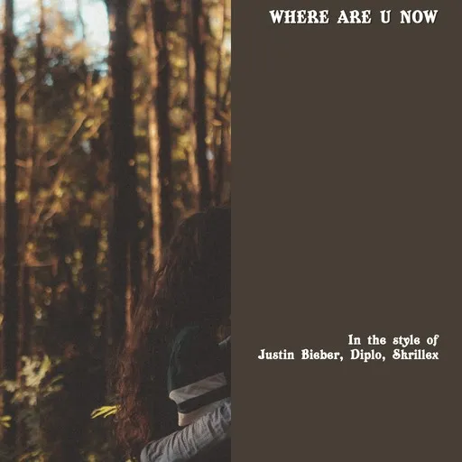 Karaoke Where Are U Now von Diplo, Justin Bieber, Skrillex — mit Songtext mitsingen auf Singa