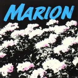 Cover art for Hyvästi yö - Marion karaoke version