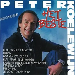 Cover art for De Sprong In Het Duister - Peter Koelewijn karaoke version