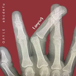 Cover art for Abcdefu (Angrier) - Gayle karaoke version