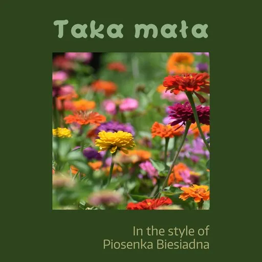 Taka mała - Karaoke
