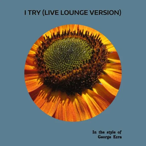 Karaoke I Try (Live Lounge Version) by George Ezra — sing along with lyrics on Singa