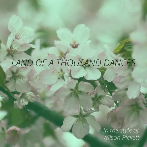 Karaoke Land Of A Thousand Dances by Wilson Pickett — sing along with lyrics on Singa