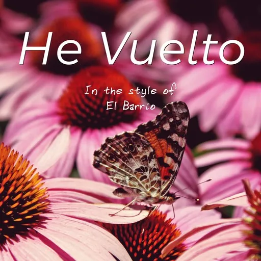 He Vuelto - Karaoke