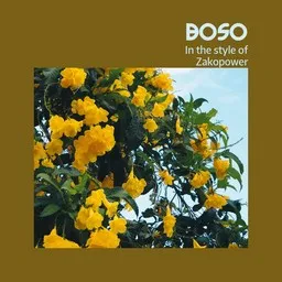Cover art for Boso - Zakopower karaoke version