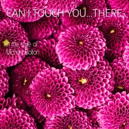 Titelbild für Can I Touch You...There - Michael Bolton Karaoke-Version