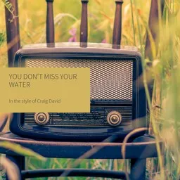 Titelbild für You Don't Miss Your Water - Craig David Karaoke-Version