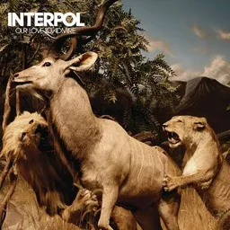 Cover art for Rest My Chemistry - Interpol karaoke version