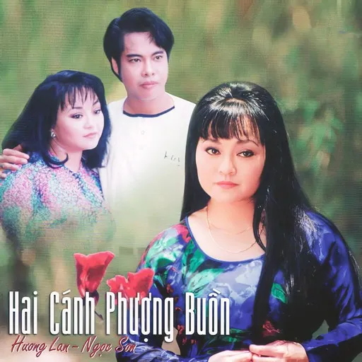 Karaoke Đôi Ngã Chia Ly von Ngọc Sơn — mit Songtext mitsingen auf Singa