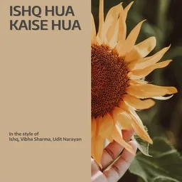 Cover art for Ishq Hua Kaise Hua - Ishq,Udit Narayan,Vibha Sharma karaoke version