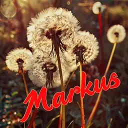 Cover art for Viimeinen kevät - Markus karaoke version