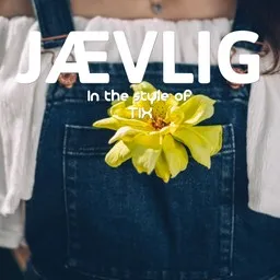 Cover art for Jævlig - TIX karaoke version