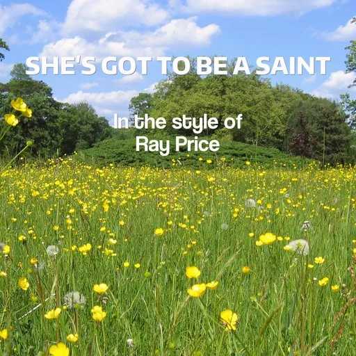 She's Got To Be A Saint - Karaoke
