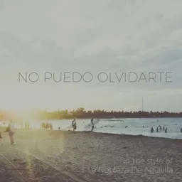 Titelbild für No Puedo Olvidarte - La Nobleza De Aguililla Karaoke-Version