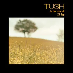 Cover art for Tush - ZZ Top karaoke version