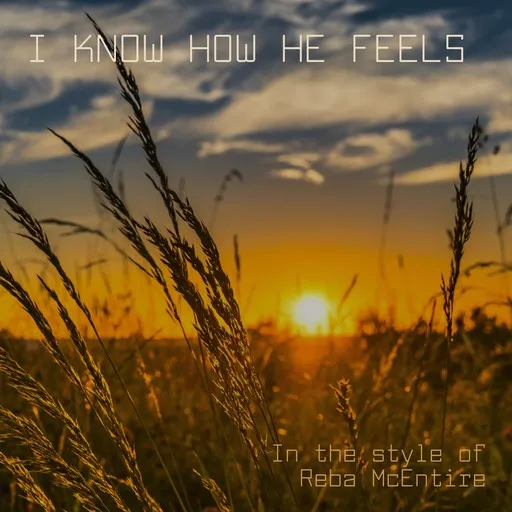I Know How He Feels - Karaoke