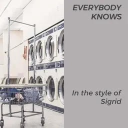 Omslagsbild för Everybody Knows - Sigrid karaokeversion